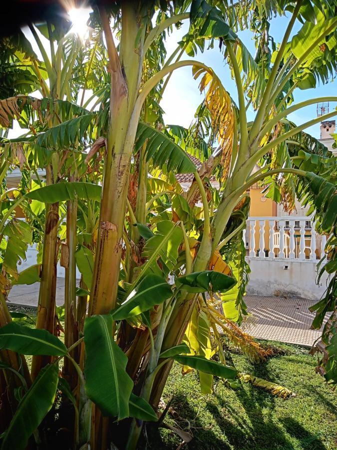 El Paraiso Del Sol Cartagena Kültér fotó
